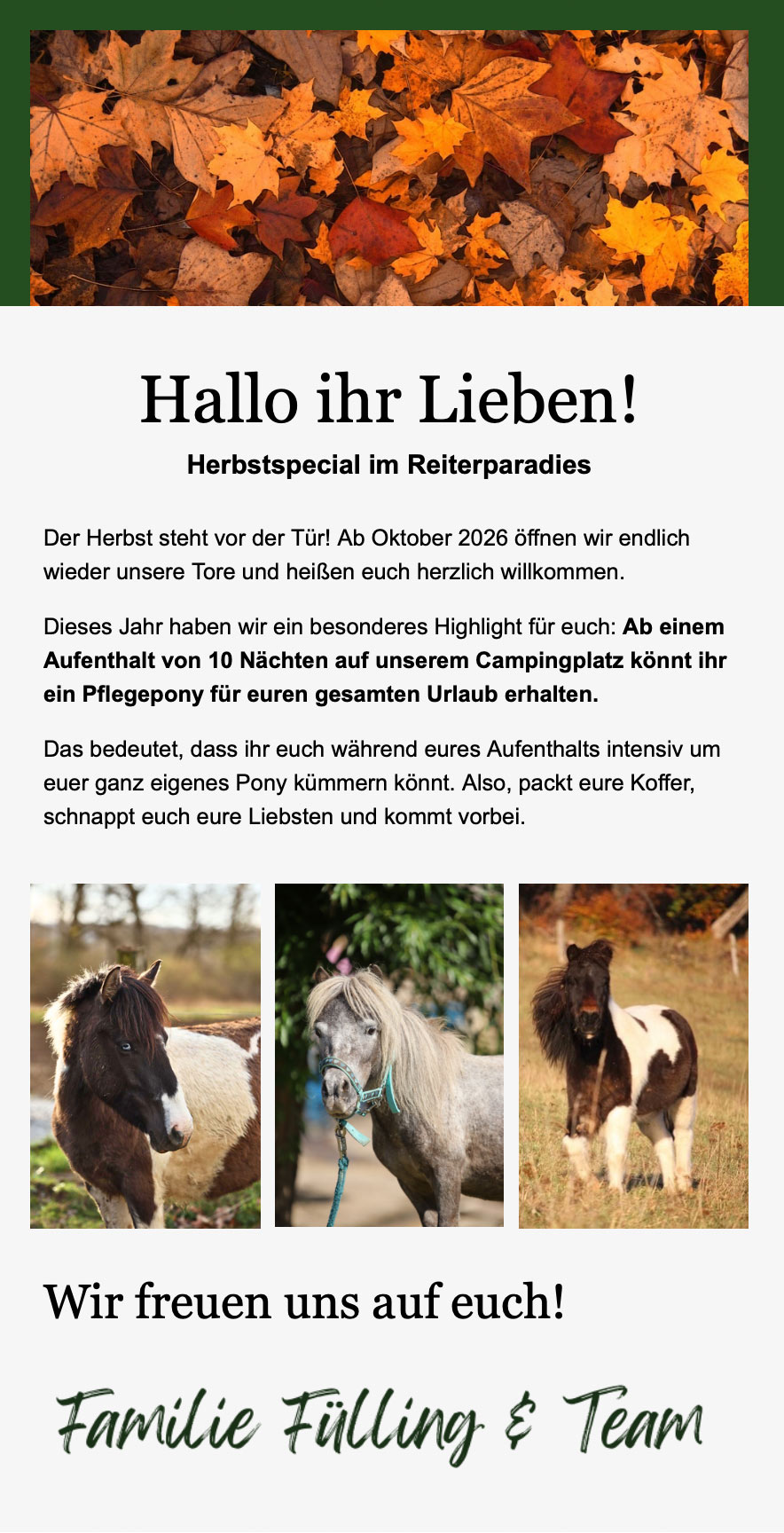Herbstspecial im Reiterparadies: Ab 10 Nächten ein Pflegepony für den gesamten Urlaub.